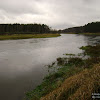 dsc06850.jpg