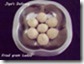 103 - Fried gram Ladoo 103 - Fried gram Ladoo