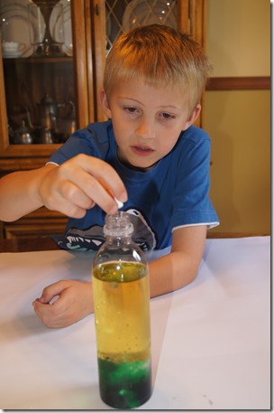 Make a Lava Lamp Make a Lava Lamp