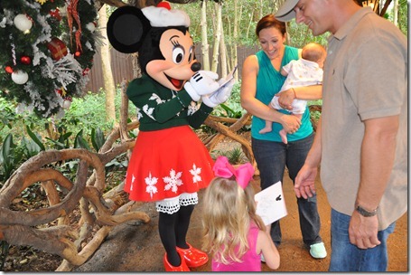 animal kingdom 121012 147