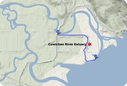 Cowichan Estuary