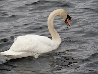 DSC03114.JPG