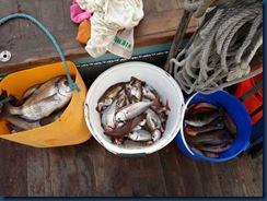 IMG-20120501-WA0005 IMG-20120501-WA0005