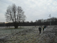 SAM_6848.JPG Photo