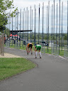 IMG_4125.jpg
