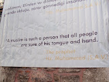 P4243677.JPG