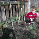 IMAG0087.jpg
