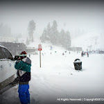 IMG_7920.JPG