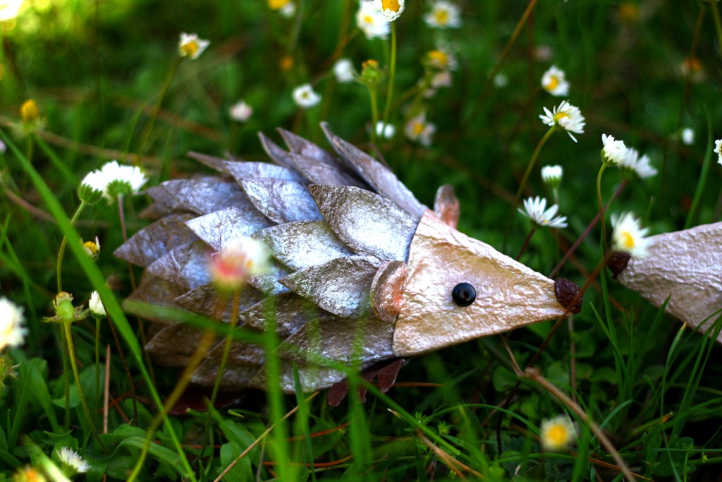 [riccio%2520Schiccio-002%255B4%255D.jpg]