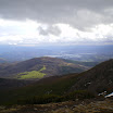 IMGP3605.JPG