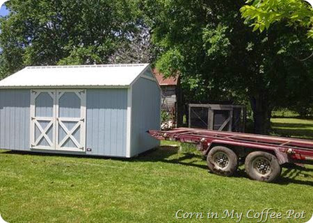 SHED in front of the chicken coop