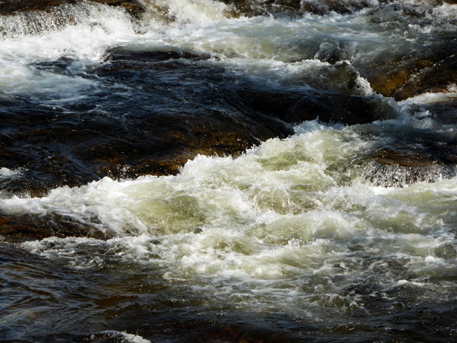 ANDY'S PICTURE: RIVER FESHIE