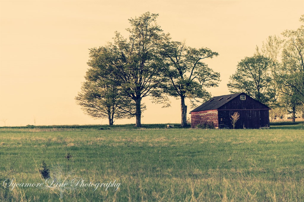 [SycamoreLane-Photography--farm9.jpg]