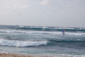 DSC_0879.JPG