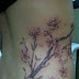 Cherry Blossom Branch