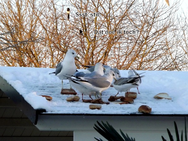 februari 2012 011