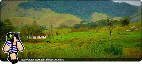Farm Farm