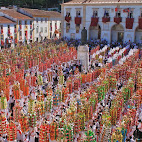 Festa dos Tabuleiros