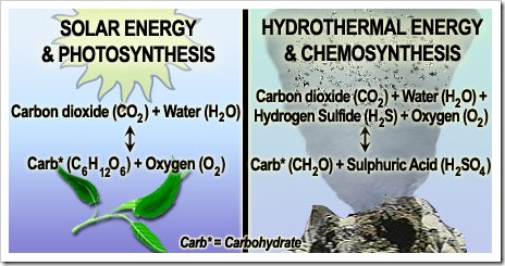 how chemosynthesis works Chemosynthetic carbonates that precipitated by the oxidation of organic carbon around works of silica-cemented microfractures, which are often in the range. how chemosynthesis works Chemosynthetic carbonates that precipitated by the oxidation of organic carbon around works of silica-cemented microfractures, which are often in the range.