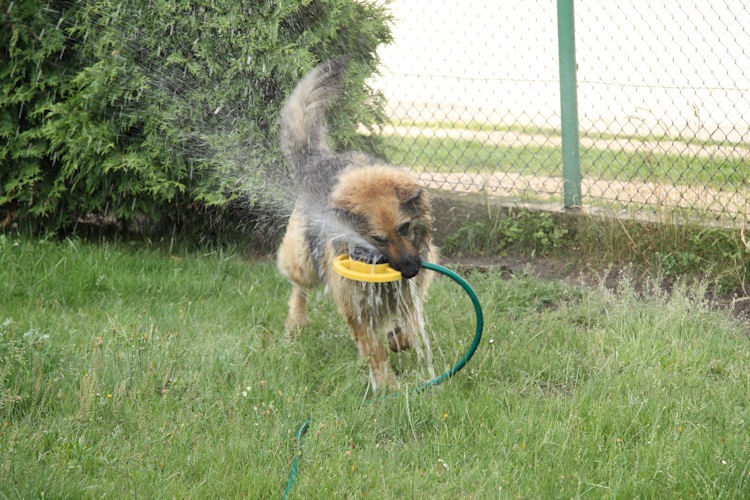 [IMG_4706%255B5%255D.jpg]