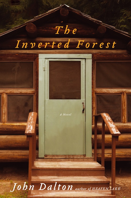 [final-image---inverted-forest5.jpg]