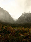 On the way to Milford Sound