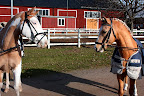 Game Over och Danilo