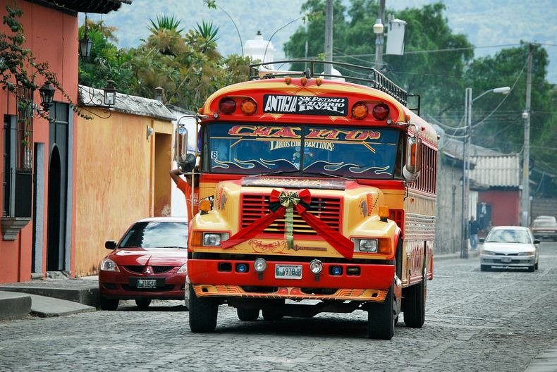 chicken-buses-3 chicken-buses-3