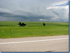 1199 Alberta Hwy 6 South - black metal sillouette art at Pincher Creek Welcome sign 1199 Alberta Hwy 6 South - black metal sillouette art at Pincher Creek Welcome sign
