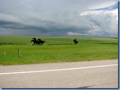 1199 Alberta Hwy 6 South - black metal sillouette art at Pincher Creek Welcome sign