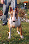 Karmacoma SUPERSTYLIN' 6 months