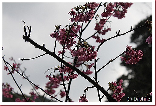 IMG_1838 IMG_1838