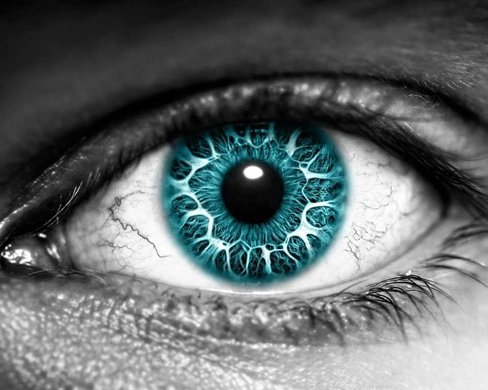 [Photoshop_T_Virus_017201_%255B10%255D.jpg]