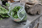 Oh, I see!  These are just the scraps from all the herbs and vegetables for tonight's meal!   Pierre kindly saved them so we can feed them to the chickens!