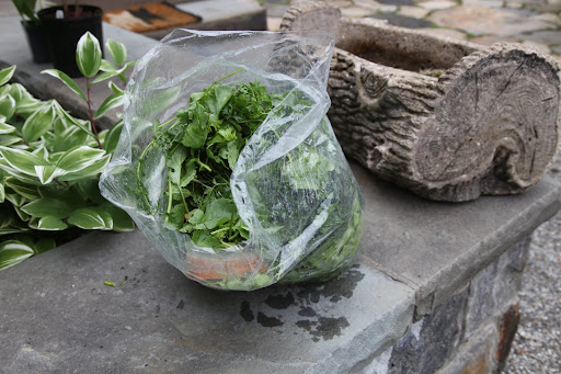 Oh, I see!  These are just the scraps from all the herbs and vegetables for tonight's meal!   Pierre kindly saved them so we can feed them to the chickens!