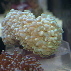 DSC_2111.jpg