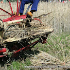 graanoogst-09-019.jpg
