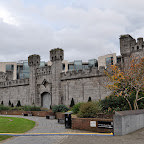 DSC_8356-2.jpg