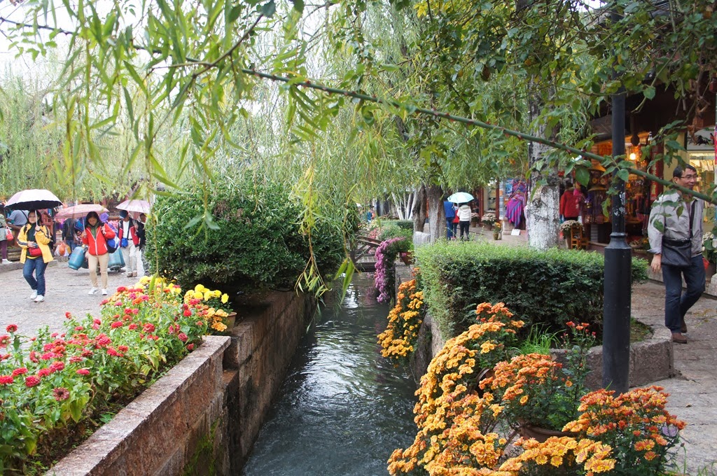 [DSC06854%255B4%255D.jpg]