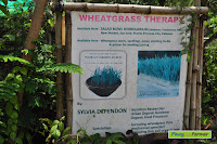 san jose market palawan 0001.jpg san jose market palawan 0001.jpg