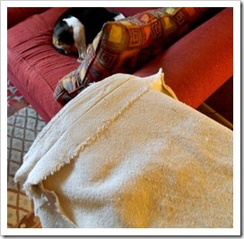 [Present-Pillows-Press-Open-550x413-2%255B1%255D%255B8%255D.jpg]