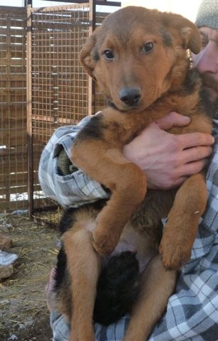 [Bulcsu%25202011.12.20.4%255B4%255D.jpg]