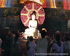 28 Marble Buddha Statues Pujawa &amp; Mal Asana Pujawa