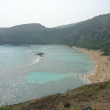 Reef at Hanauma Bay