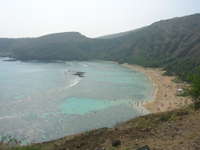 Reef at Hanauma Bay