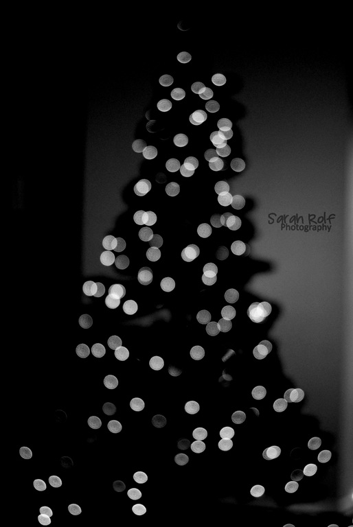[black-and-white-christmas-t%255B3%255D.jpg]