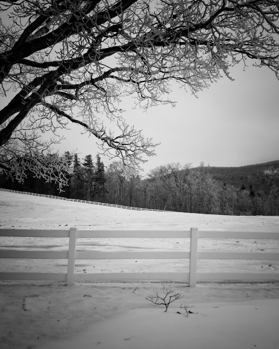 _MG_5157.jpg