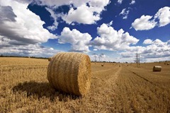 Hay-Bales-2