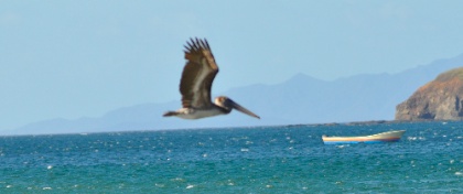 DSC_0331.jpg DSC 0331