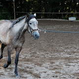 6Y1I2966_DxO_raw.jpg 6Y1I2966_DxO_raw.jpg